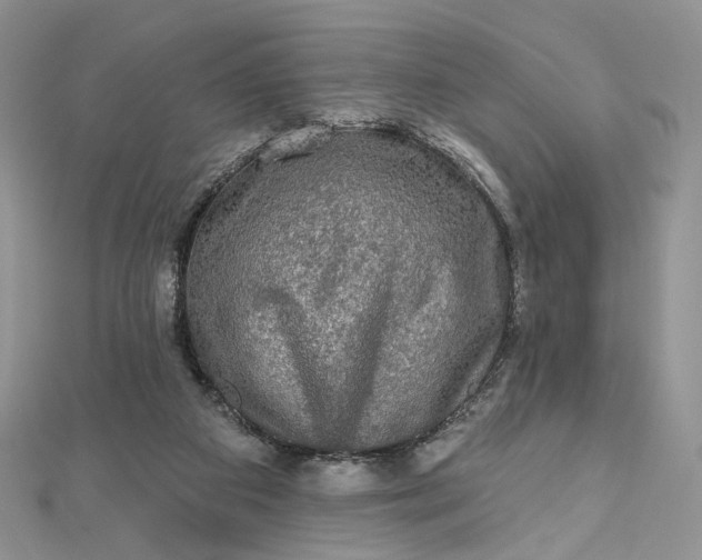 X0000112800113200909041441