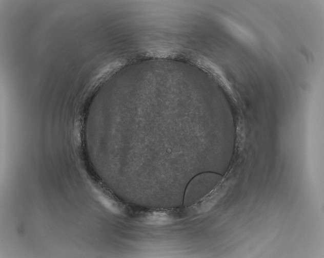 X0000112800114200909041441