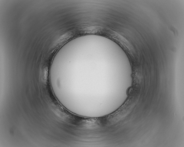 X0000112800118200909041441