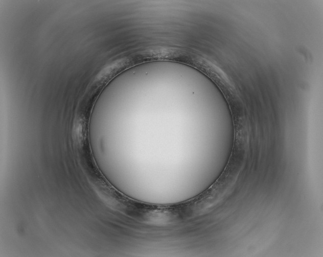 X0000112800119200909041441