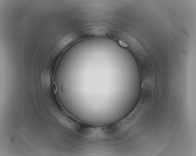 X0000112800120200909041441