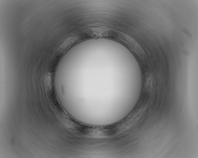 X0000112800121200909041441