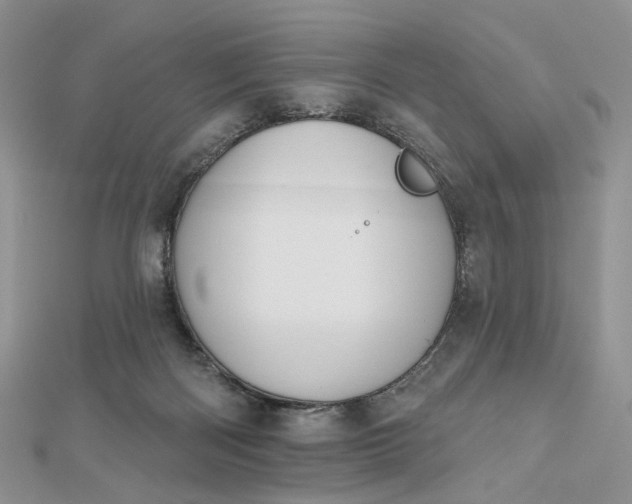 X0000112800122200909041441