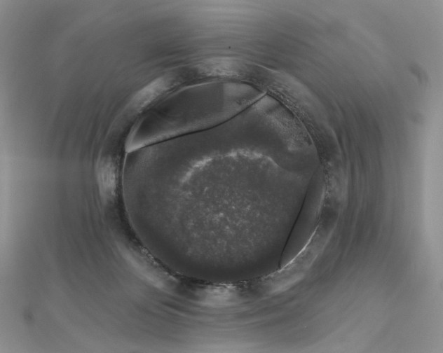 X0000112800124200909041441