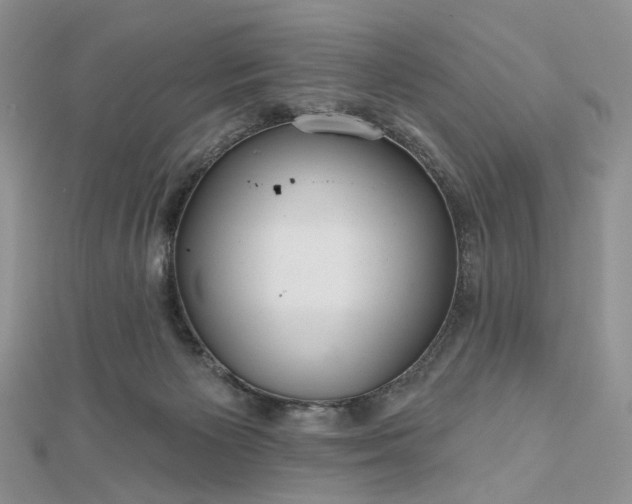 X0000112800125200909041441