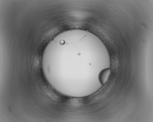 X0000112800126200909041441