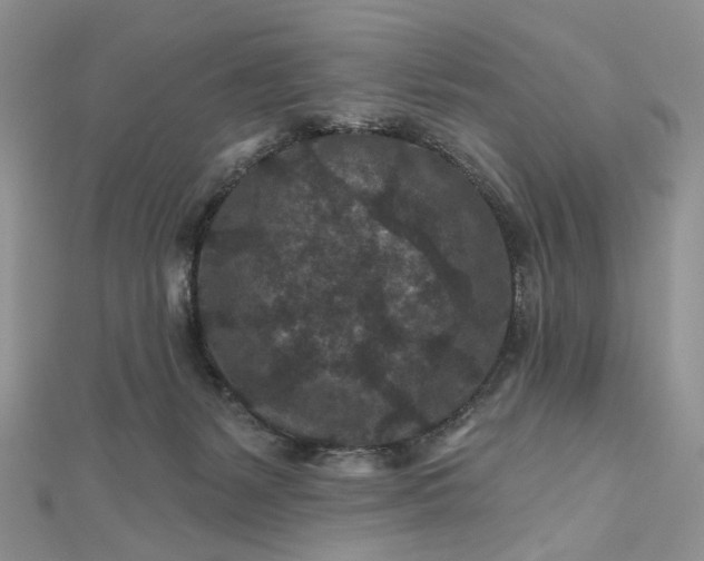 X0000112800127200909041441