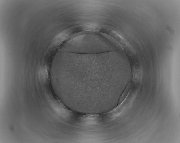 X0000112800128200909041441