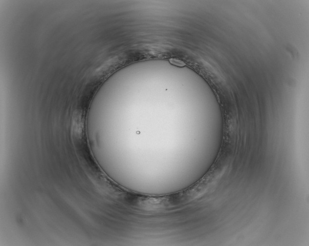 X0000112800129200909041441