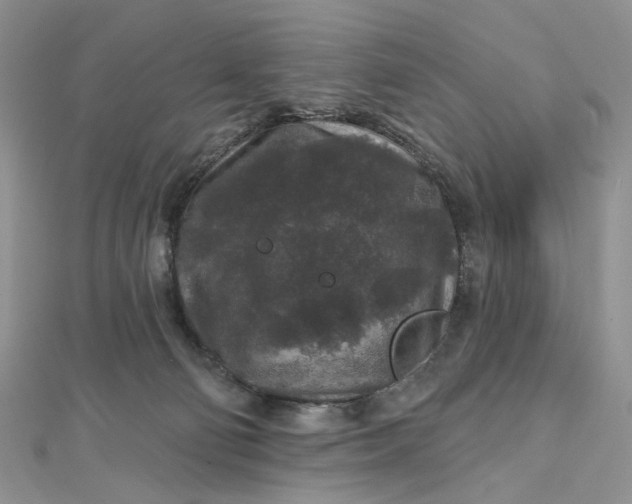 X0000112800130200909041441