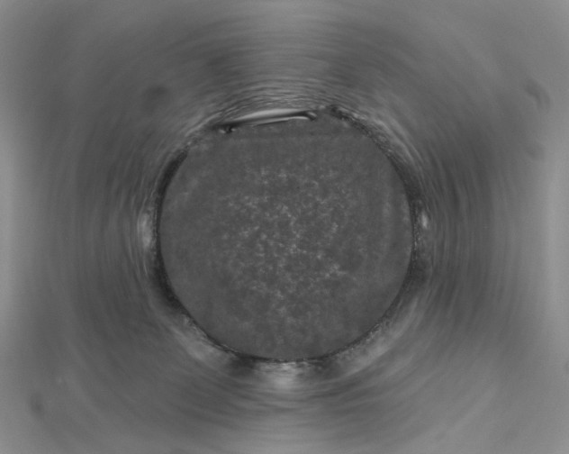 X0000112800131200909041441