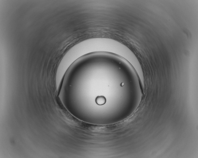 X0000112800132200909041441