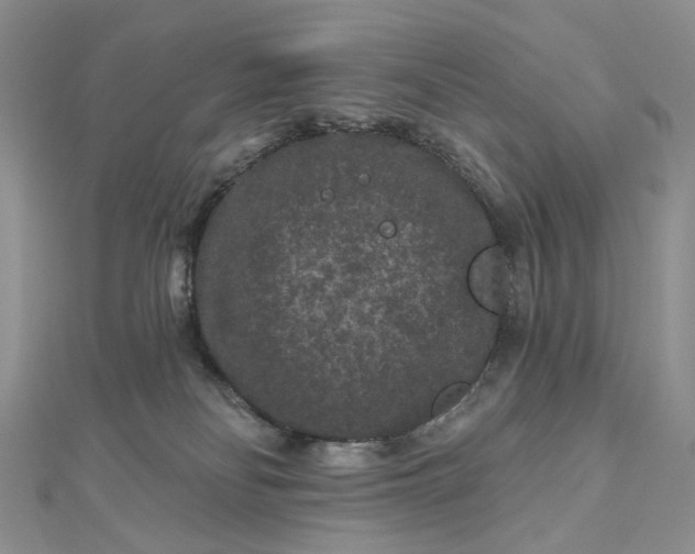 X0000112800134200909041440