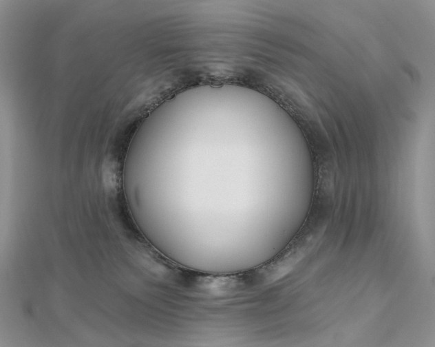 X0000112800135200909041440