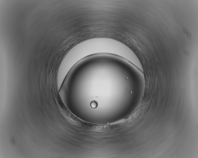 X0000112800136200909041440