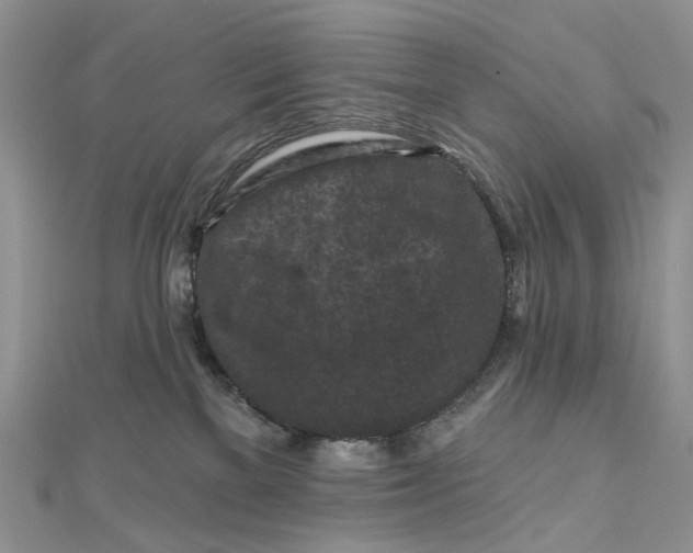 X0000112800137200909041440