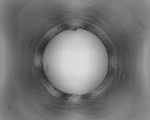 X0000112800138200909041440