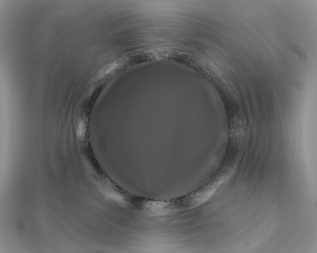 X0000112800139200909041440