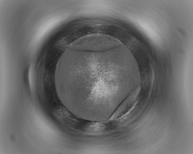 X0000112800140200909041440