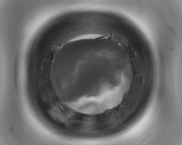 X0000112800143200909041440