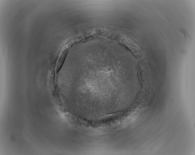 X0000112800144200909041440