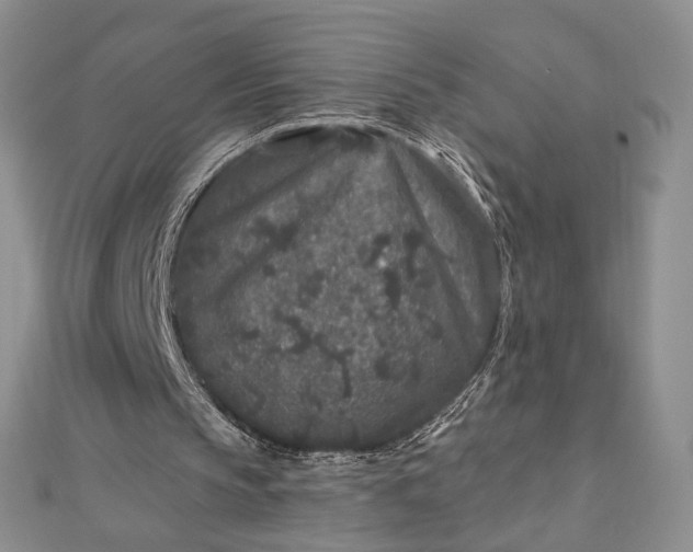 X0000112800145200909041440