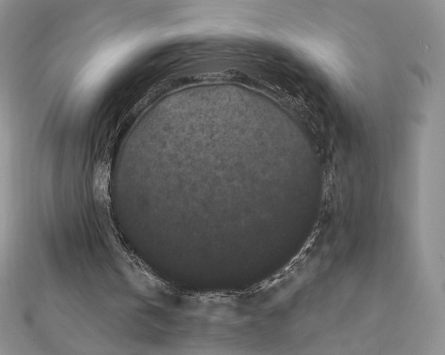 X0000112800146200909041440