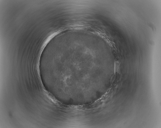 X0000112800147200909041440