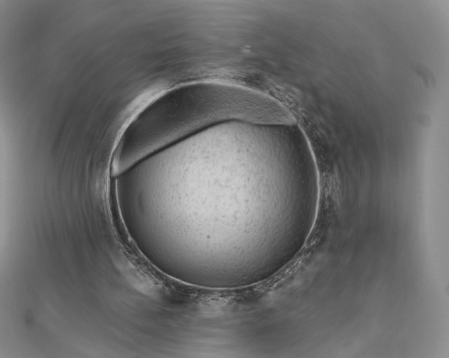 X0000112800148200909041440