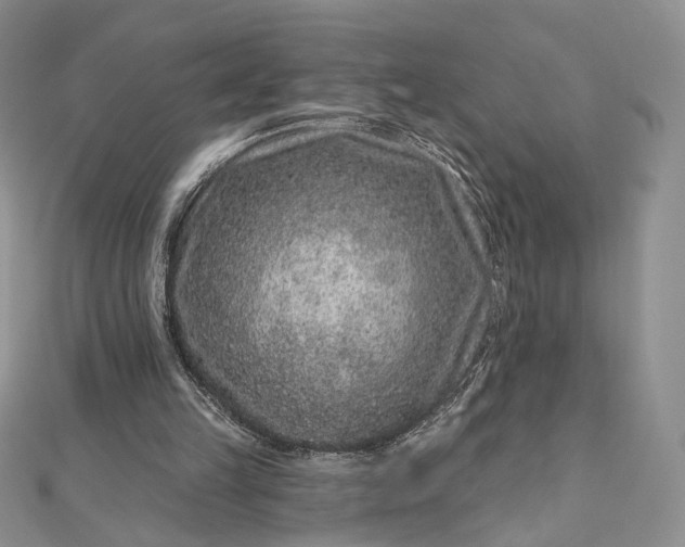 X0000112800149200909041440