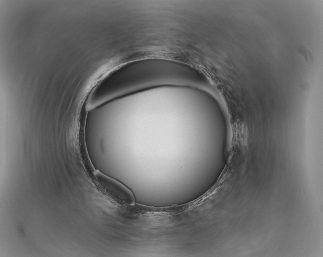 X0000112800150200909041440