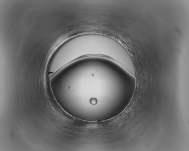 X0000112800152200909041440