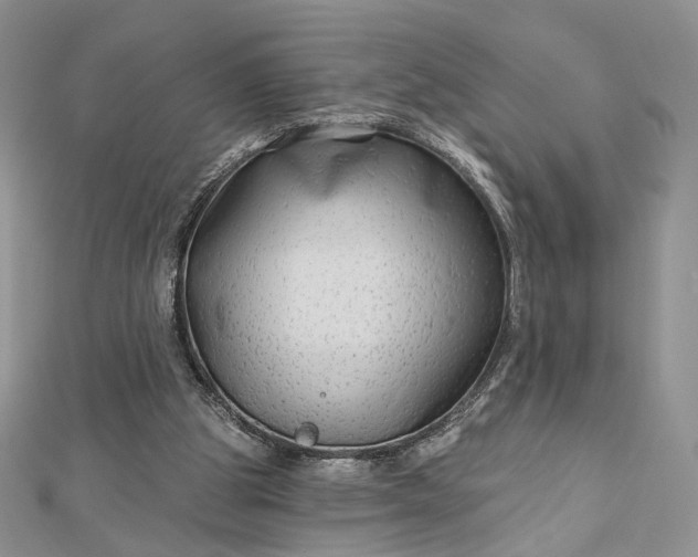 X0000112800153200909041440