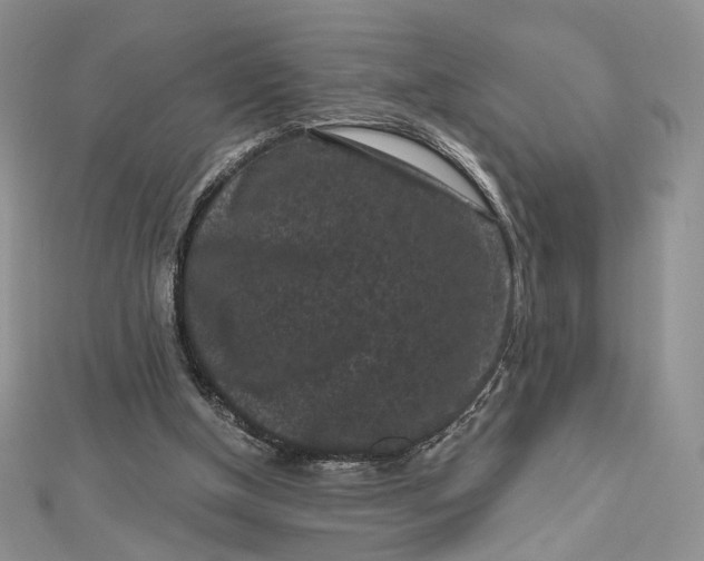 X0000112800154200909041440