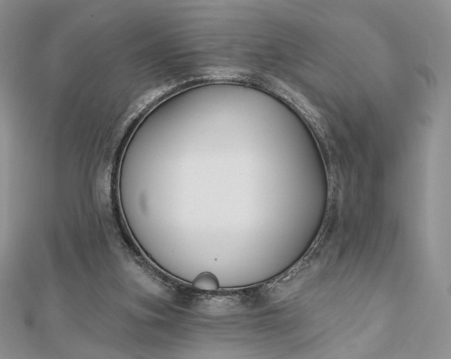 X0000112800155200909041440