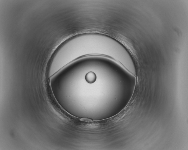 X0000112800156200909041440