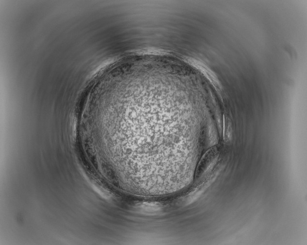 X0000112800157200909041440