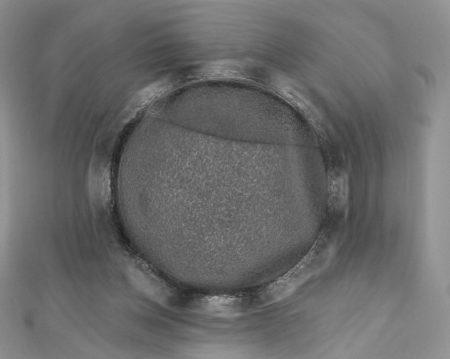 X0000112800158200909041440