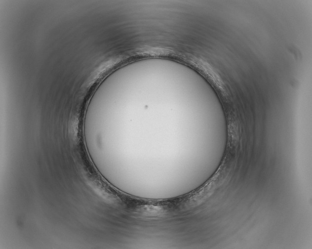 X0000112800159200909041440