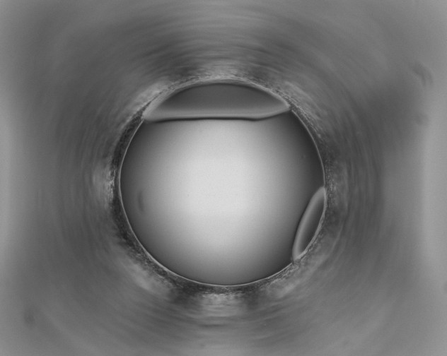 X0000112800160200909041440