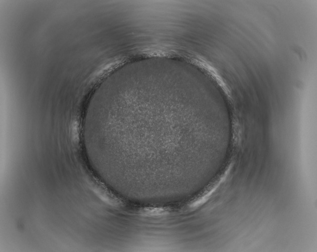 X0000112800161200909041440