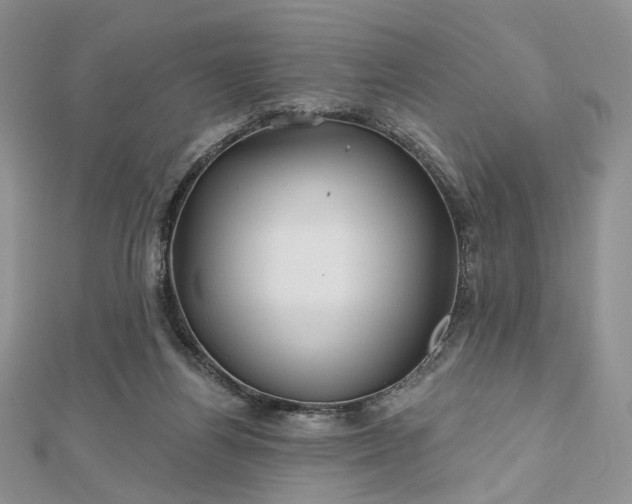 X0000112800164200909041440