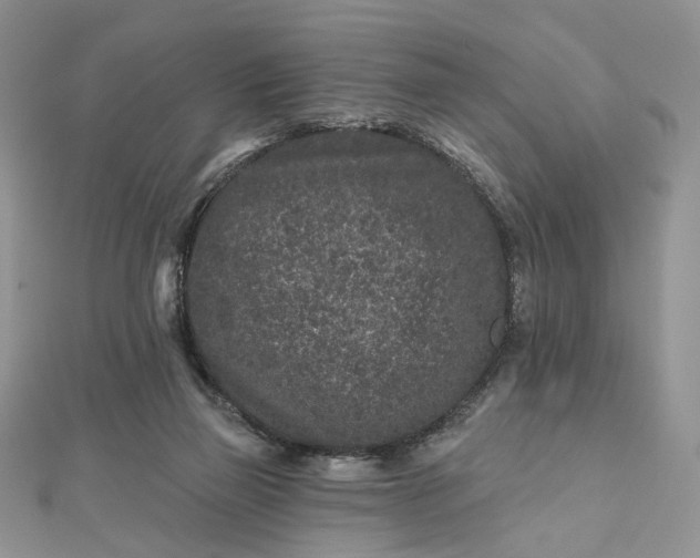 X0000112800165200909041440