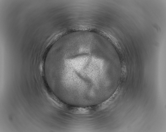 X0000112800166200909041440