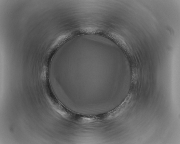 X0000112800167200909041440