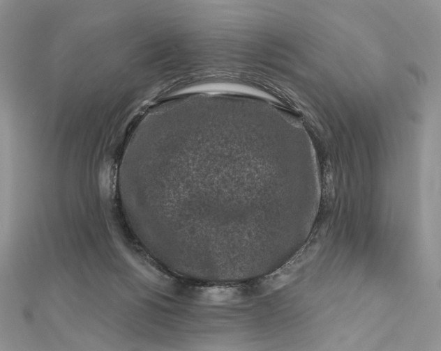 X0000112800168200909041440