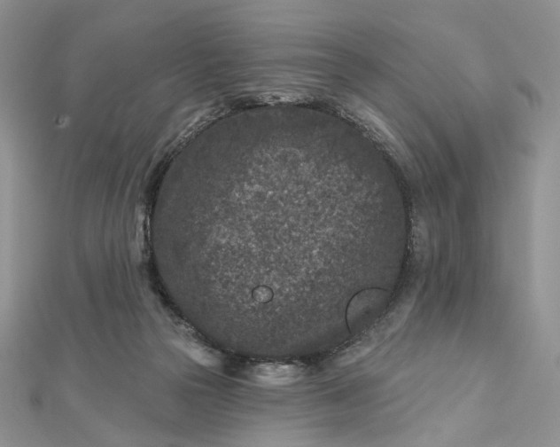 X0000112800169200909041440