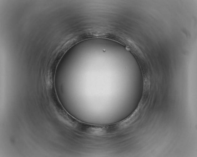 X0000112800170200909041440