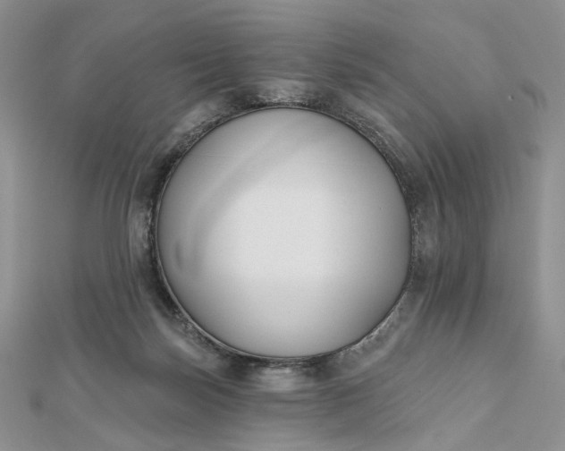 X0000112800171200909041440