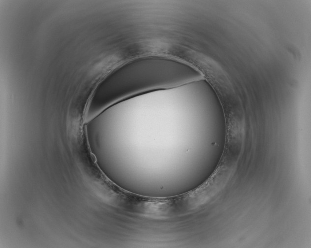 X0000112800172200909041440